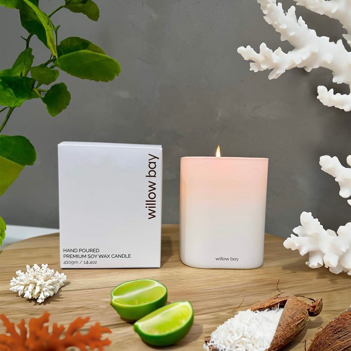 Premium Soy Candle - Coastal Coconut-Willow Bay Australia