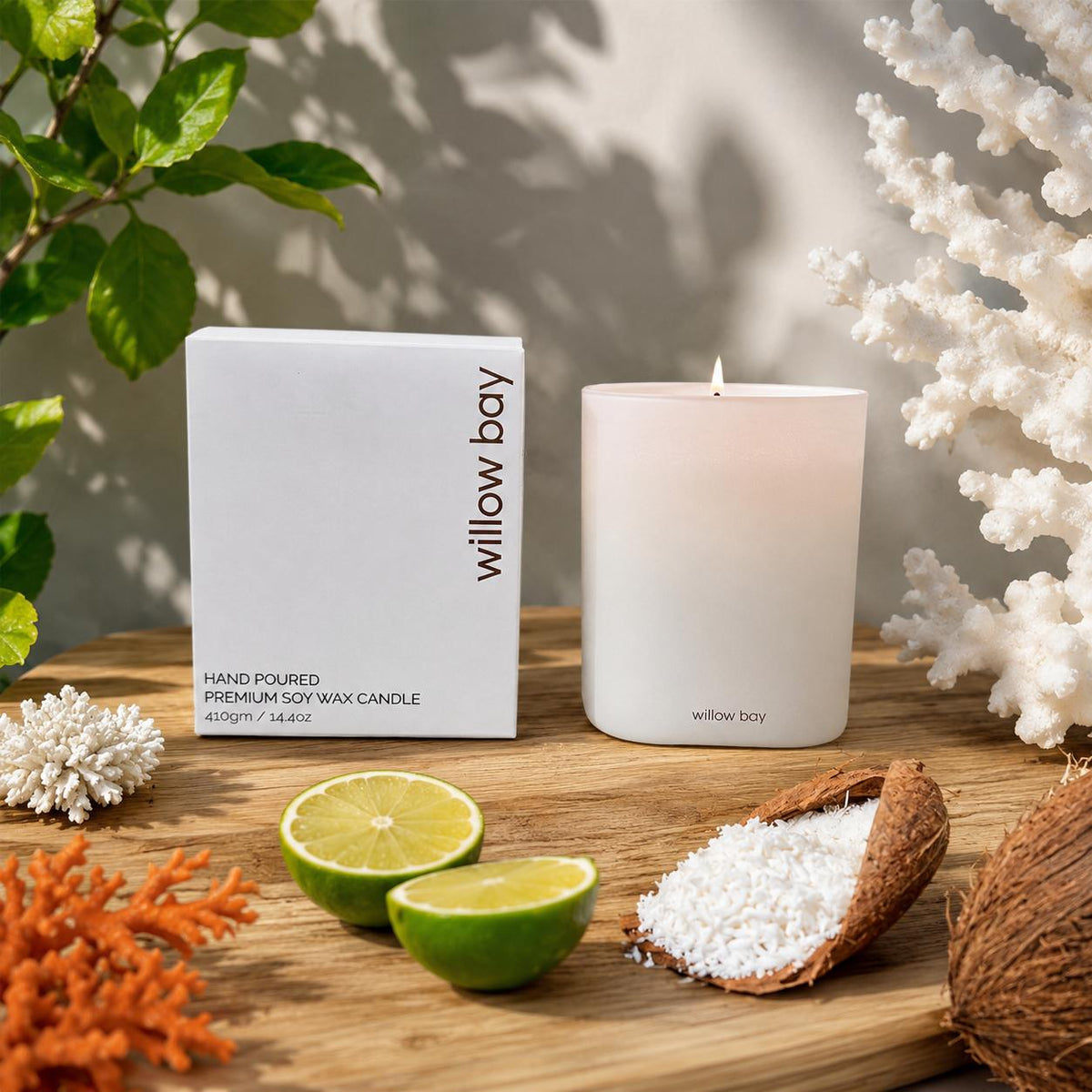 Willow Bay Coastal Coconut premium soy candle in frosted white glass with box, lime, coconut, and coral.